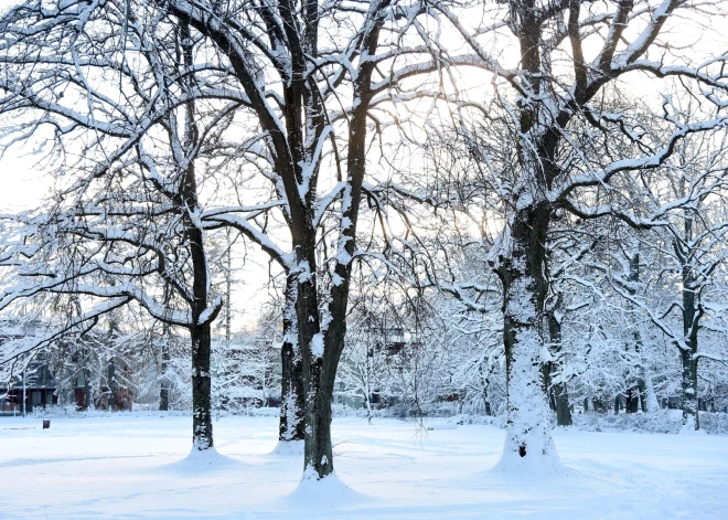 Во вторник местами ожидается небольшой снег