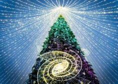 Daugavpils ziemas kontrasti: no tropu svelmes līdz vēsturiskā tramvaja nostalģijai