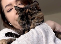 Старейшая кошка в мире Флосси отметила свое 30-летие