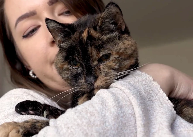 Старейшая кошка в мире Флосси отметила свое 30-летие