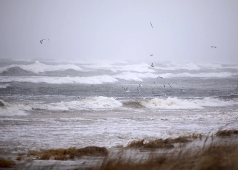 Par kādam privātuzņēmumam piederoša optiskās šķiedras kabeļa bojājumu informācija saņemta no Lietuvas. Incidents noticis Latvijas teritoriālajos ūdeņos 2. janvārī.