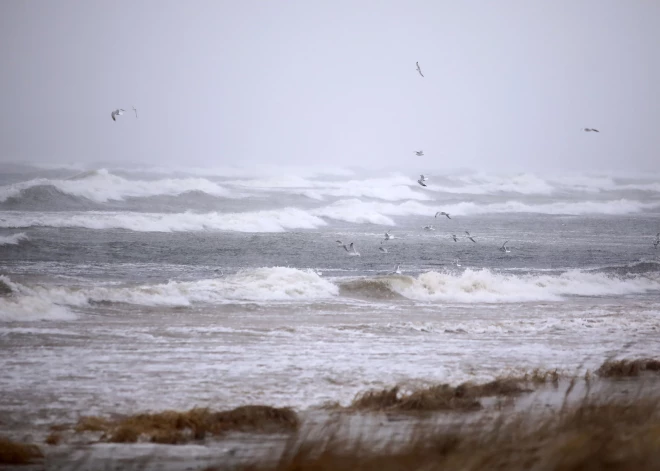 Paziņots, cik ātri varētu salabot Baltijas jūrā bojāto optisko kabeli Palanga-Liepāja