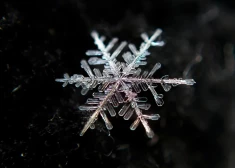 Ko mūsu senči Zvaigznes dienā ievēroja, lai izvairītos no nelaimes