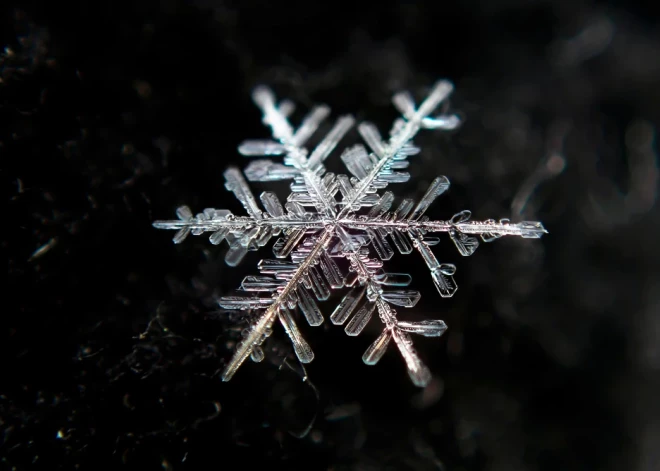 Ko mūsu senči Zvaigznes dienā ievēroja, lai izvairītos no nelaimes