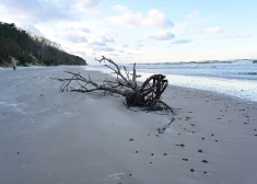 Pārrautā kabeļa lieta: veikta kratīšana uz kuģa un nopratināta apkalpe – policija sniedz sīkākas ziņas