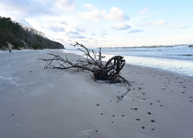Pārrautā kabeļa lieta: veikta kratīšana uz kuģa un nopratināta apkalpe – policija sniedz sīkākas ziņas