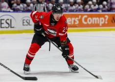 Sandis Vilmanis piespēlē vienīgajos "Checkers" gūtajos vārtos AHL