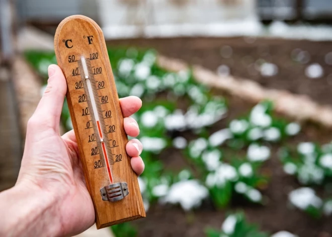 Pavasaris pienāks ātri - kurus dārzeņus un puķes sēt jau janvārī?