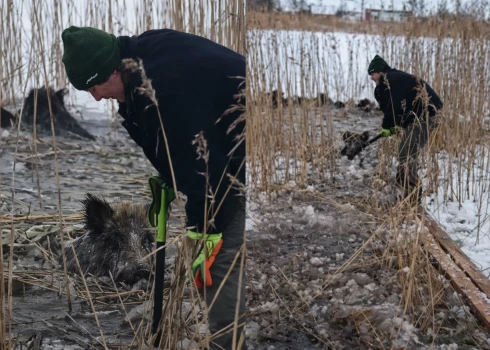 Vietējie iedzīvotāji negaidīja glābēju ierašanos, bet ķērās pie darba paši.