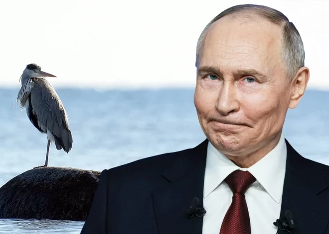 Jauna draudu zona Baltijas jūrā: kas patiesībā slēpjas aiz Putina plāna veikt "zinātniskos pētījumus"