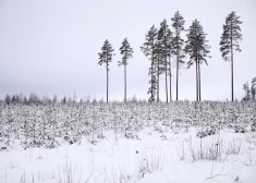 В среду станет еще немного холоднее