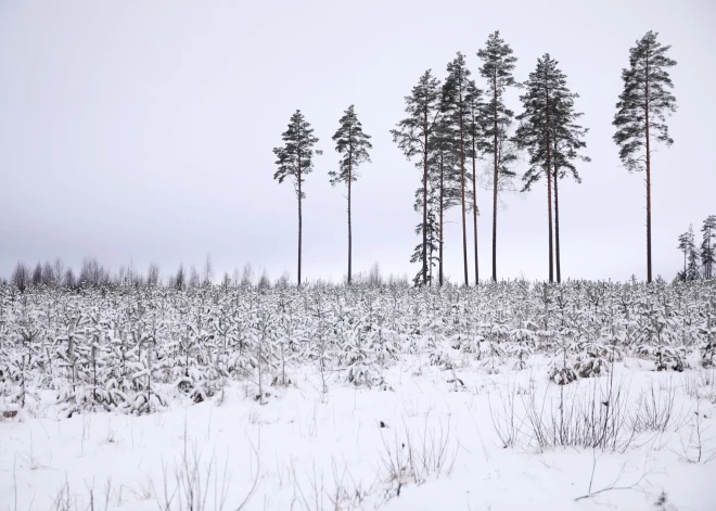 В среду станет еще немного холоднее
