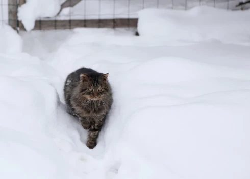 Иллюстративное фото.