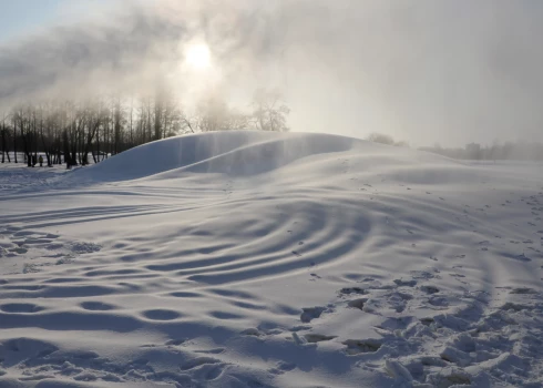 Иллюстративное фото.