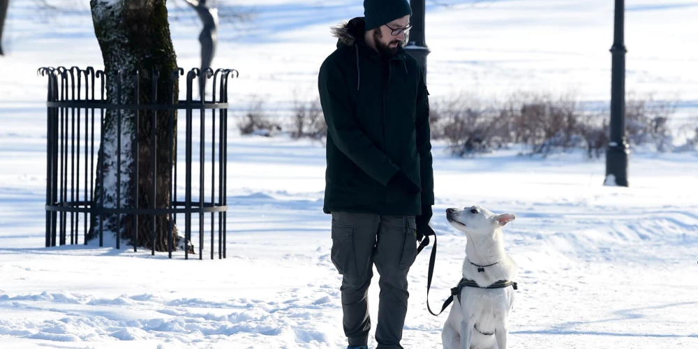 Иллюстративное фото.