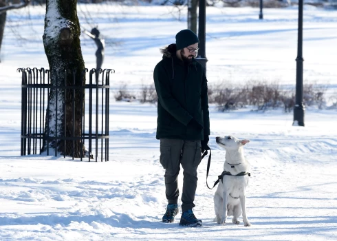 Иллюстративное фото.