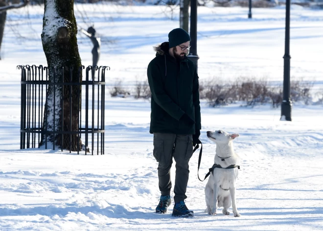 Морозы крепчают: синоптики предупреждают - нас ждут ветер до 23 м/с и похолодание до -20