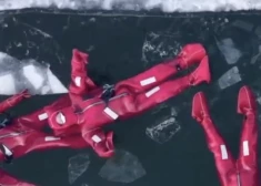 Murmanskas apgabalā meklē tūristi, kuru ledus peldes laikā aiznesa straume
