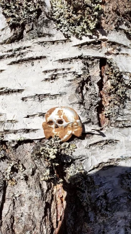 Latviešu leģiona karavīra cepures nozīmīte. Dāvis saka, ka tai aizmugurē nav informācijas par ražošanu, kas varētu liecināt, ka tā, (saistībā ar nostāstiem), tolaik "štancēta" tepat Latvijas teritorijā.