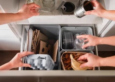 Все больше жителей Латвии признают, что им нравится копаться в мусоре. Зачем они это делают?