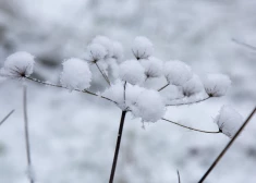В четверг сохранится облачная погода