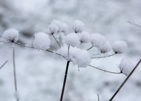 Иллюстративное фото.