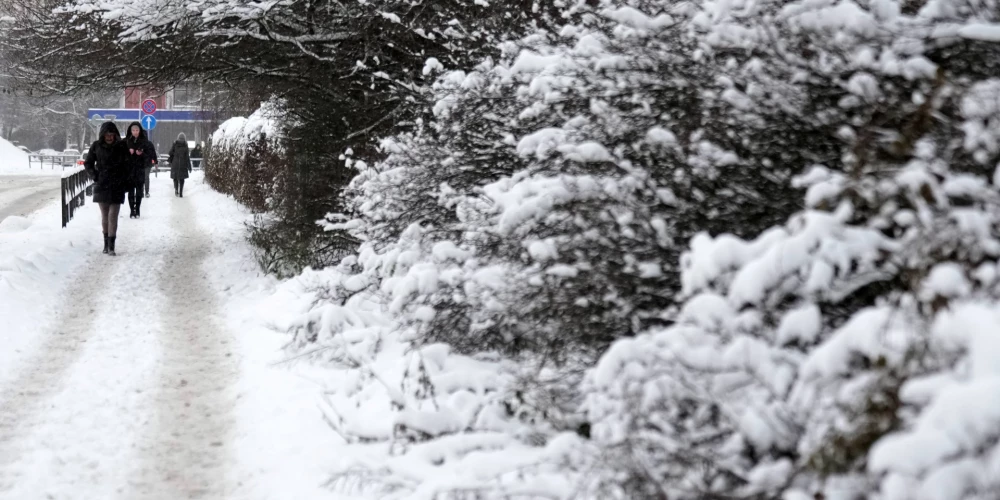 Aukstuma rekords Latvijā tikai sasniegts pirms 70 gadiem - 1956. gada februārī.
