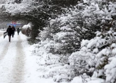 Bargākais sals, kāds Latvijā bijis: mīnus 43,2 grādi! Kādas bijušas augstākās ziemas Latvijas vēsturē