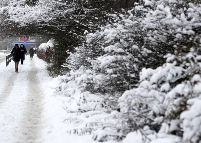 Bargākais sals, kāds Latvijā bijis: mīnus 43,2 grādi! Kādas bijušas aukstākās ziemas Latvijas vēsturē