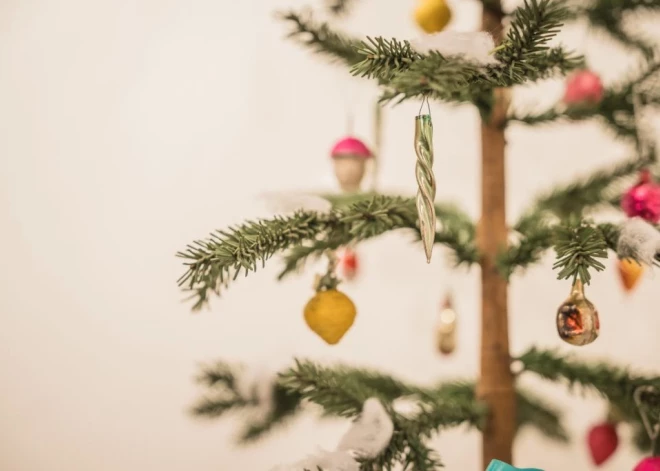 Liepājā būs iespēja bez maksas nodot savu Ziemassvētku eglīti