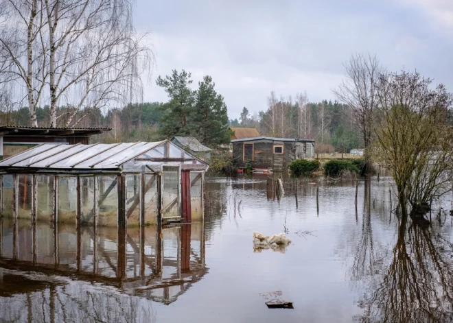 Уровень воды в Даугаве под Екабпилсом резко вырос за сутки: жители опасаются повторения паводка