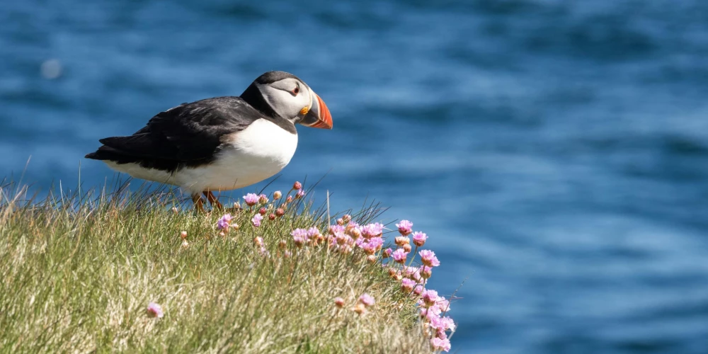 Ilustratīvs attēls.