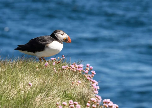 Ilustratīvs attēls.