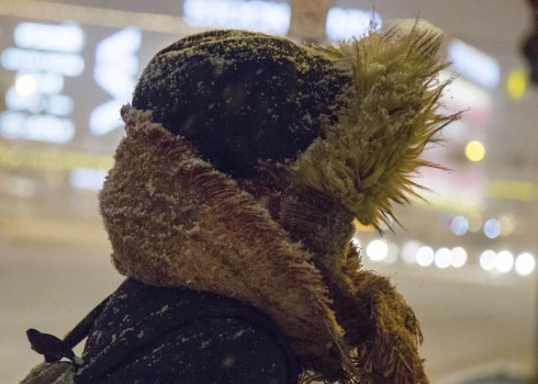 Sniegputenis Rīgā.