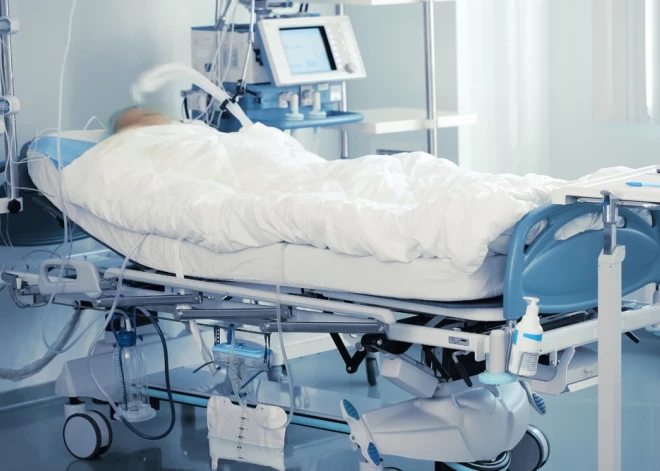 Трагическая ошибка: родители 22 дня сидели в больнице у кровати чужого подростка, пока их настоящий сын уже был мертв