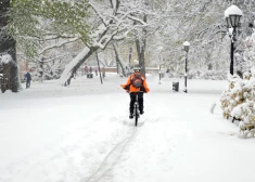 На западе страны объявлено желтое предупреждение из-за снегопада