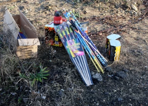 Iniciatīvas autore norāda, ka pirotehnika rada nopietnus apdraudējumus sabiedrības drošībai, veselībai un videi.