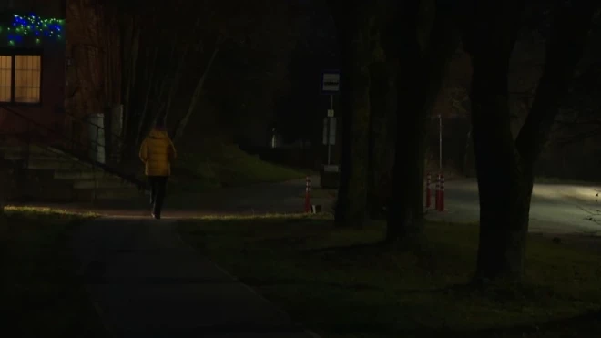 В Дарзини вечером как в лесу...