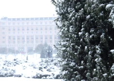 Сильный снег на западе и скользкие дороги по всей стране: Латвию ждет непростое воскресенье