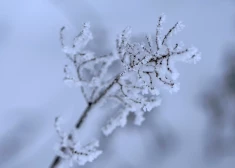 В Латвии ожидаются морозные сутки со снегом: водителей предупреждают о скользких дорогах
