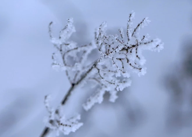 В Латвии ожидаются морозные сутки со снегом: водителей предупреждают о скользких дорогах