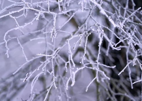 Zemākā gaida temperatūra šonedēļ reģistrēta vairākās pilsētās.