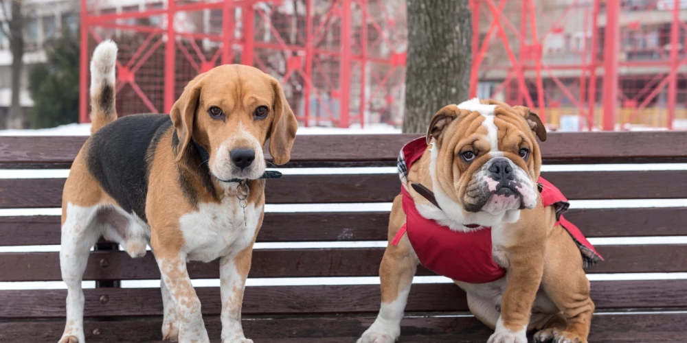 Иллюстративное фото.