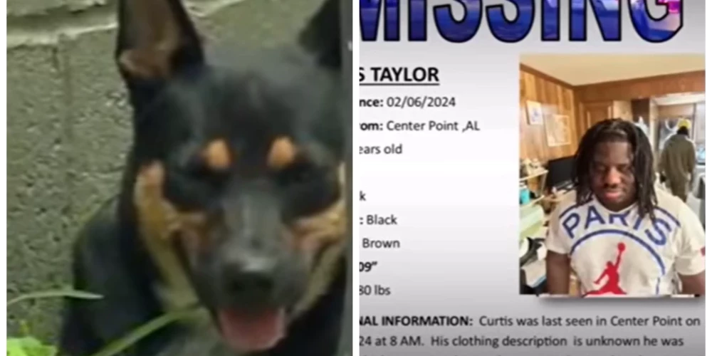 Čikarina un paziņojums par Kērtisa Teilora juniora meklēšanu (ekrānuzņēmums no video; kolāža: jauns.lv)