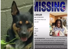 Suns spēlējas ar galvaskausu un vairākkārt nes mājās kaulus: šādi atklājas baisā patiesība pazudušā kaimiņa lietā