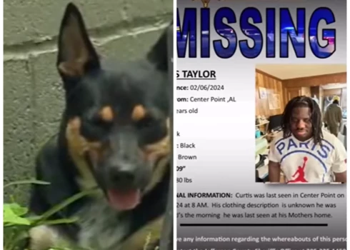 Čikarina un paziņojums par Kērtisa Teilora juniora meklēšanu (ekrānuzņēmums no video; kolāža: jauns.lv)