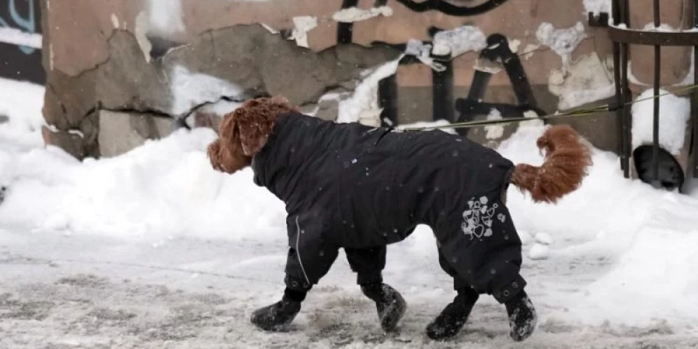  Pirmdien vietām Latvijā uzspīdēs saule un vietām mazliet snigs.