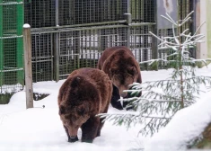 В понедельник значительных осадков не ожидается