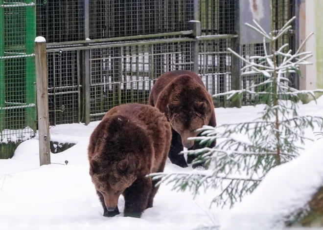 В понедельник значительных осадков не ожидается