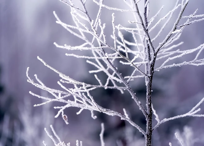 Потепление отменили: эта неделя в Латвии может стать самой холодной за два года